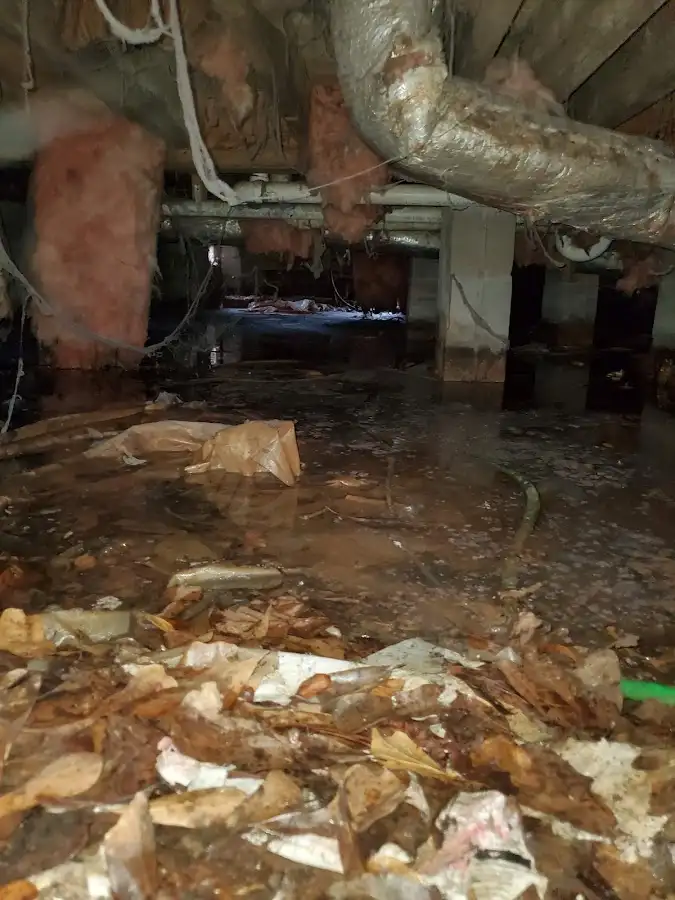 Crawl space flood assessment for Commercial Water Damage Restoration in Fairwood