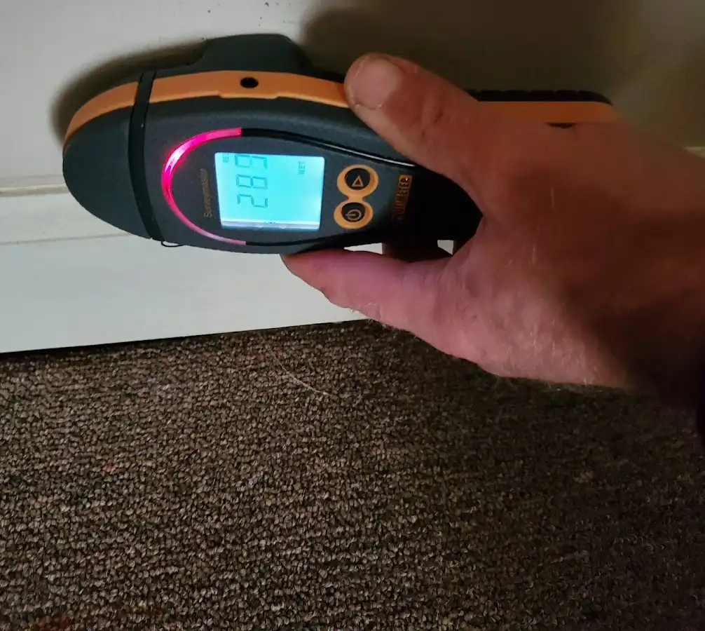 Moisture detection at baseboard during Sewage Cleanup & Sanitation in Fairwood